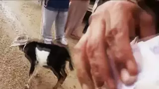 جنود اغتصبوا فتاة عراقية في فيديو إباحي