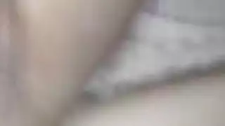 الحمار العربي سخيف