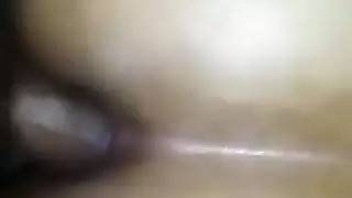 تقليم