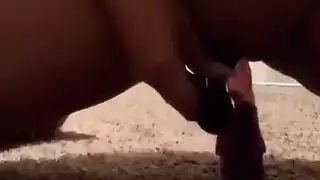 الجبهة العربية ارضاء نفسها مع لعبة