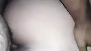 الحمار العربي الساخن فواك