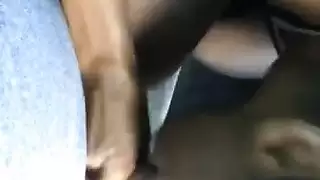 رقبة الديك الرومي