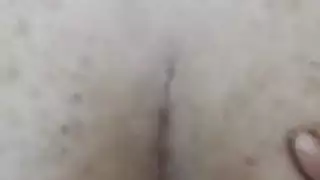 الحمار صديقته الإيرانية