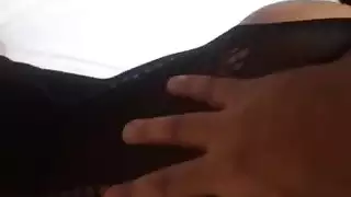الشرج العربي في فرنسا