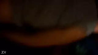 ق الأسد العربي