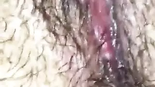 الحمار لطيفة من العراق