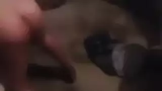 عربي مصري