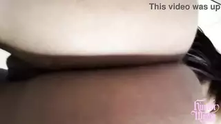 العرض الحسي للهواة الرطب والبري