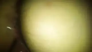 الجنس العربي