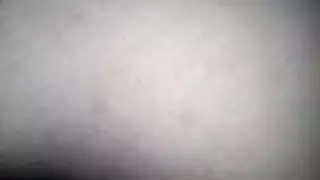 الحمار الرطب الساخنة