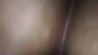 الحمار العربي سخيف