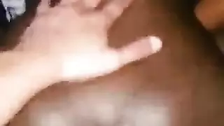 الأبنوس تربية العربية