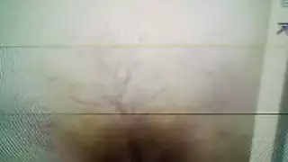 كس تركي