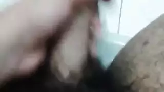 ديك عربي صغير