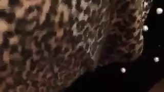 اللسان الحجاب التركي