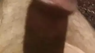 الاستمناء الديك التركي