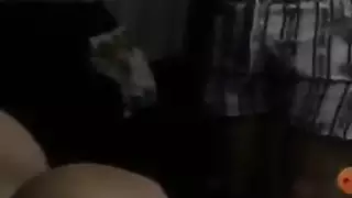 أرنب تركي يظهر ثدييه على المنظار