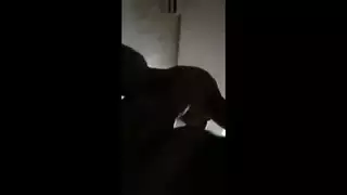 أجمل نيك مع بنت الامارات المتولعة