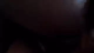 اللاتينية / العربية الديك