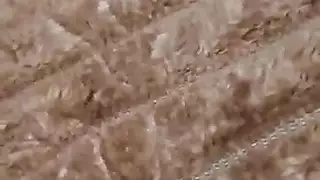 قرب كس الإناث منفردا الاستمناء التمتع