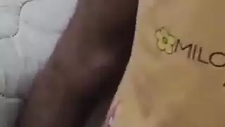 شارموتا العربية مصرية و الديك