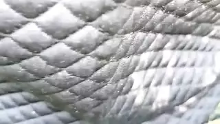 جنسي ساخن الفيديو الاباحية الهندي